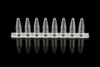 PCR 8-Strip Tubes